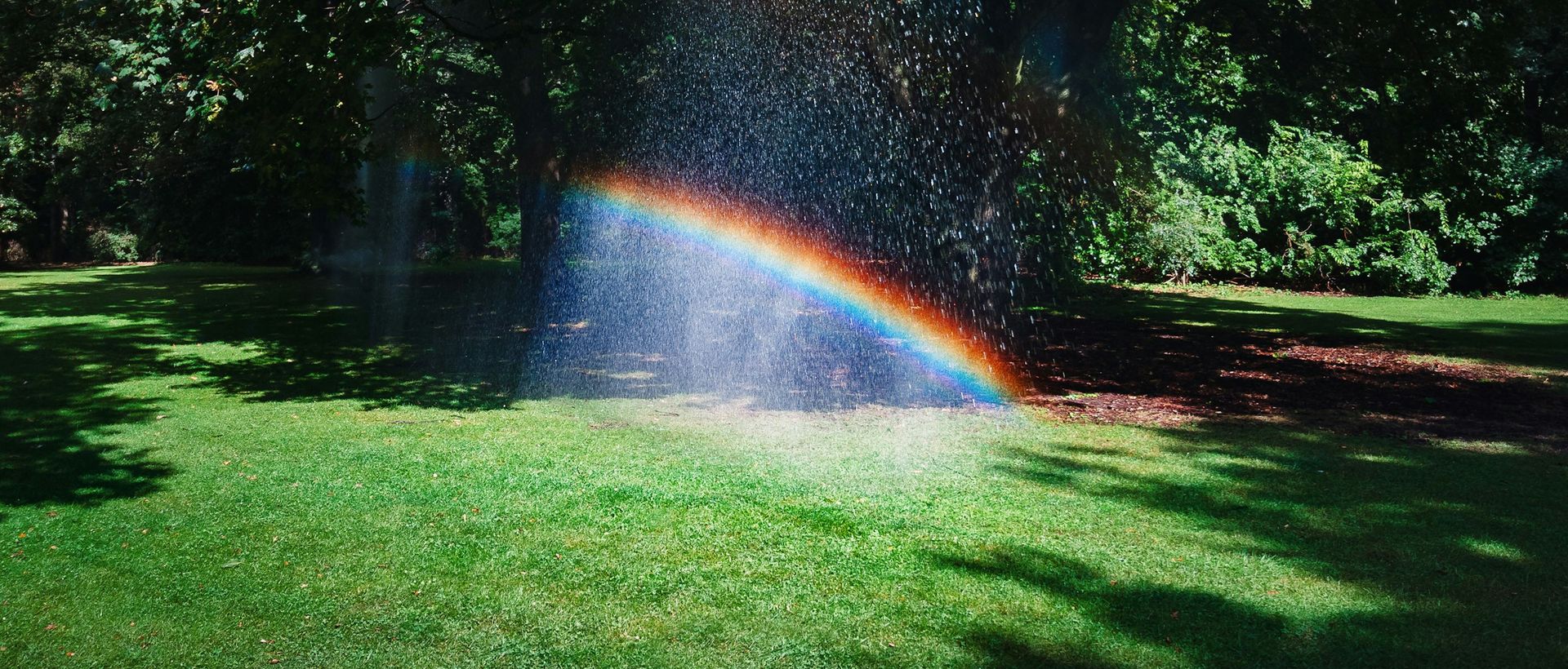 Rasenbewässerung mit Regenbogen