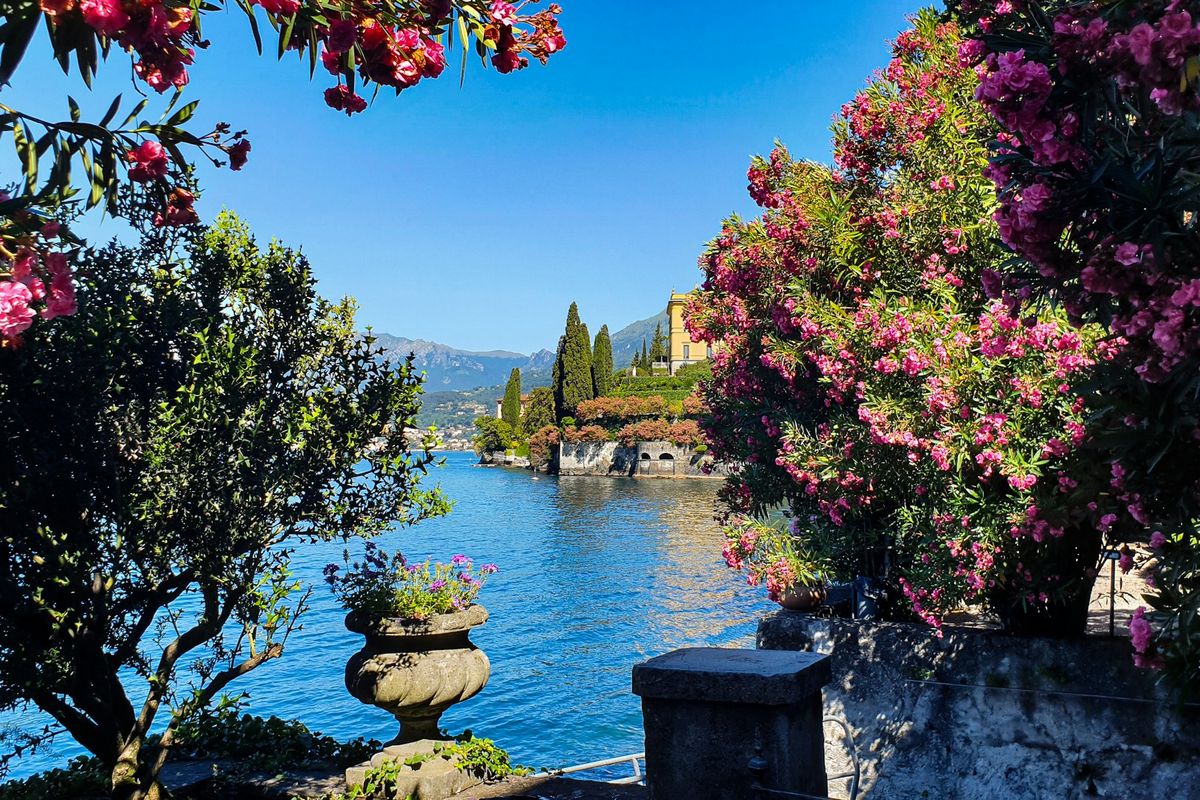 Flowering garden by the lake