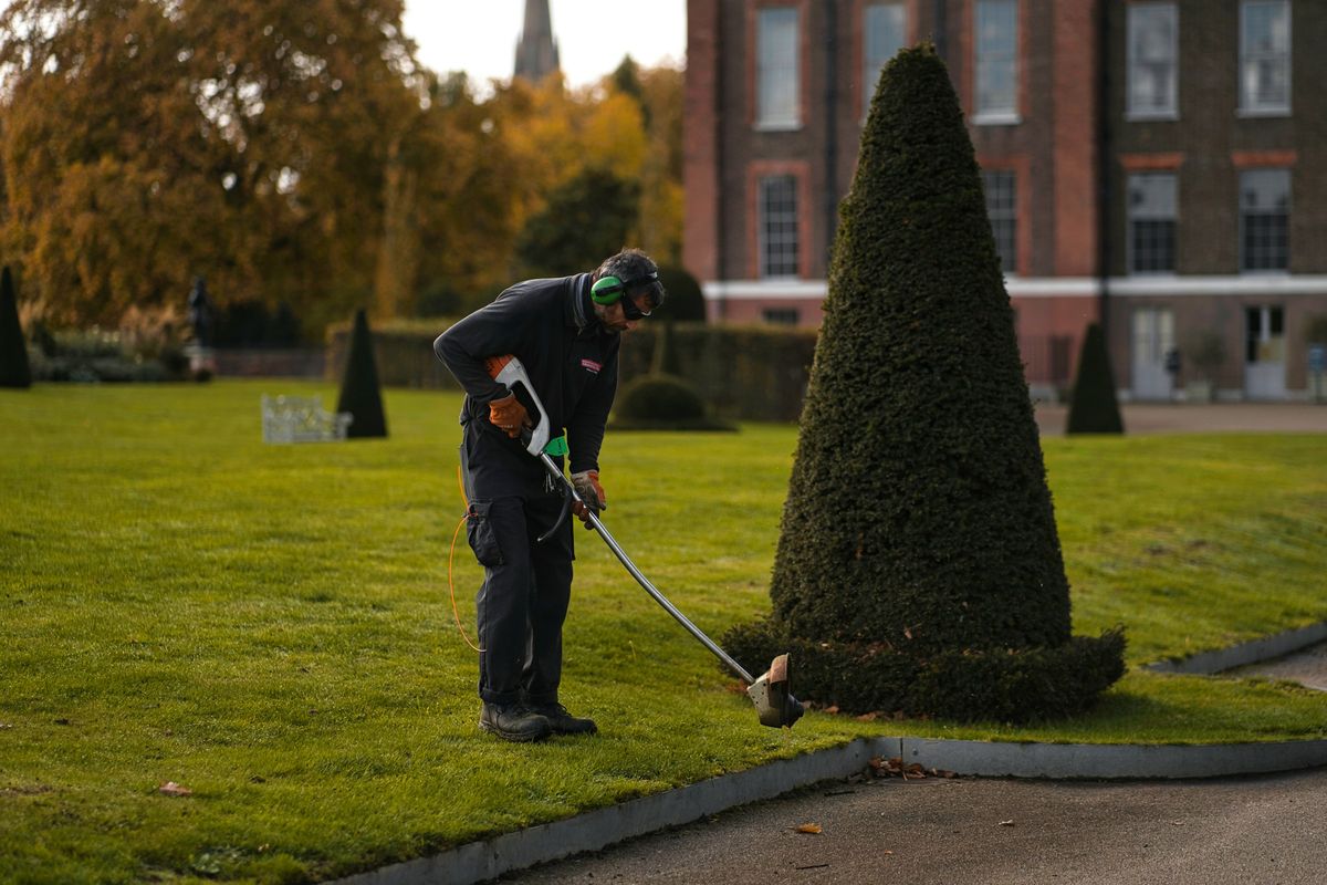 Pruning a topiary tree