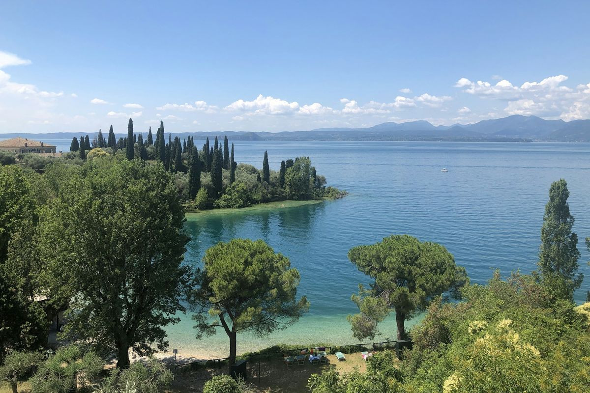 Shore with cypresses and clear water