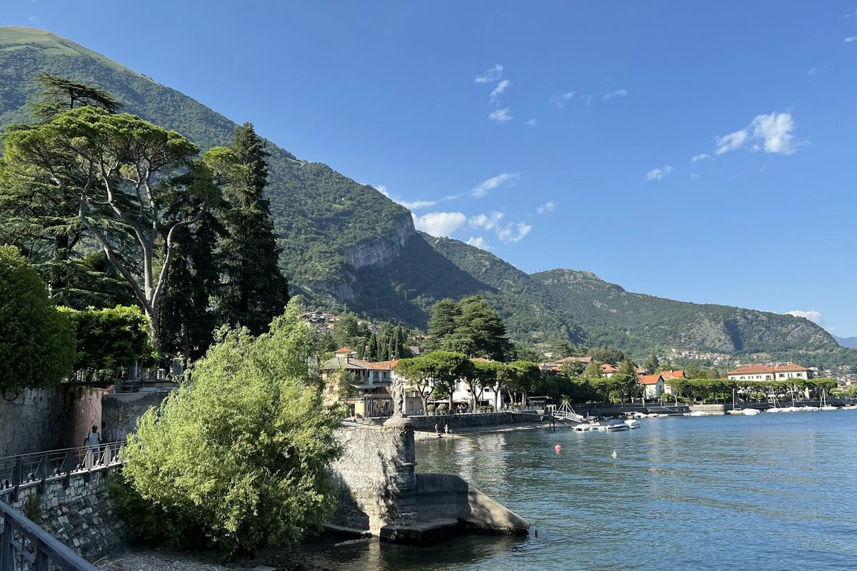 Garten mit Zedern am See