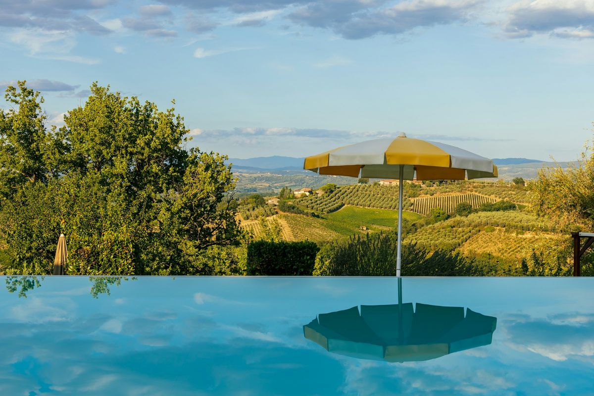Pool with parasol and vineyards