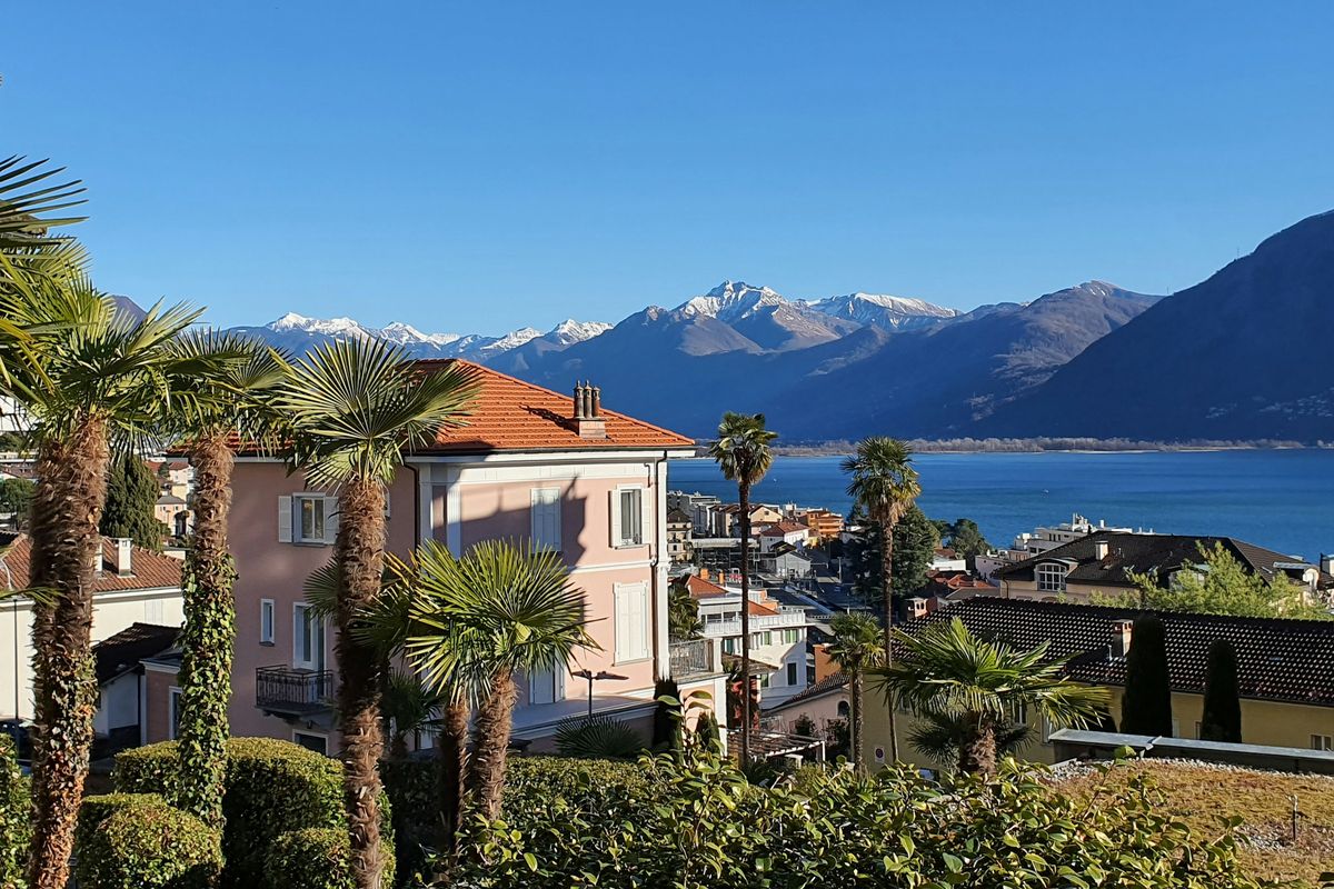 Giardino con palme sopra il lago