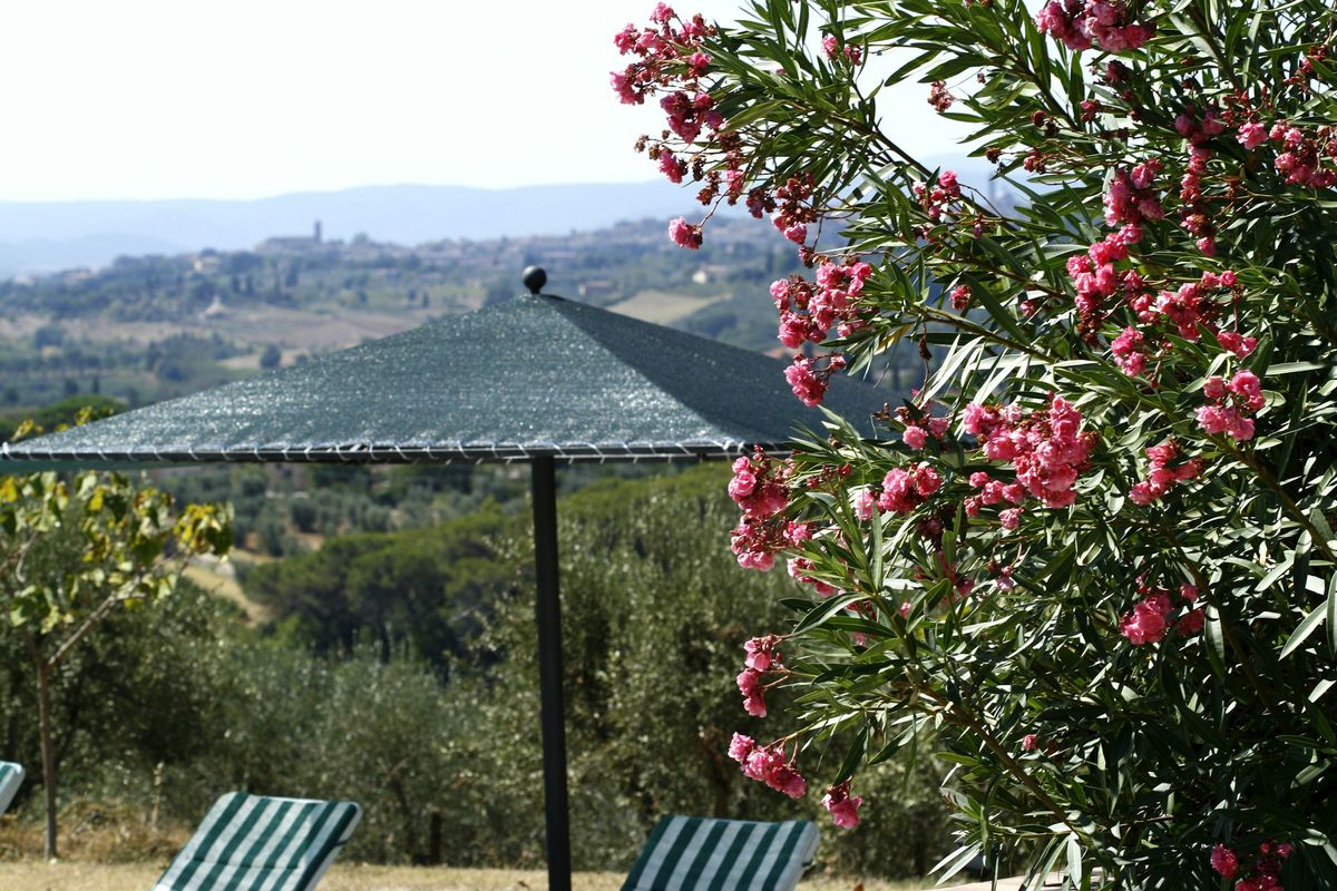 Sonnenschirm zwischen Oleander und Hügeln