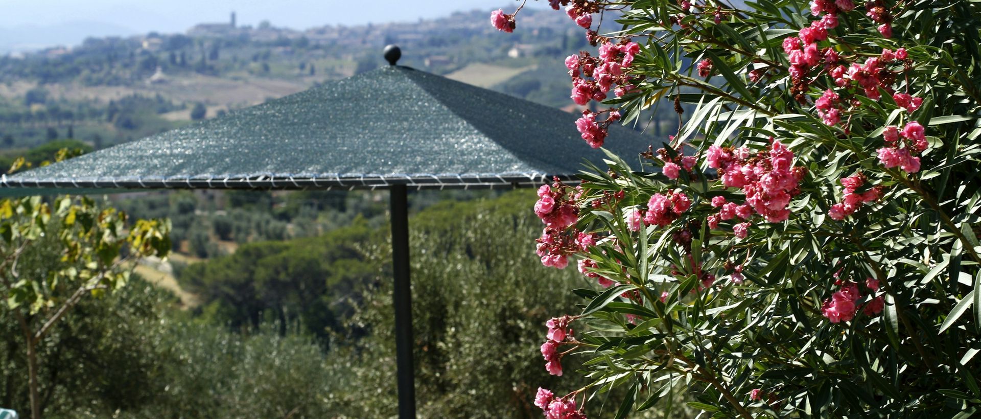 Ombrellone tra oleandri e colline