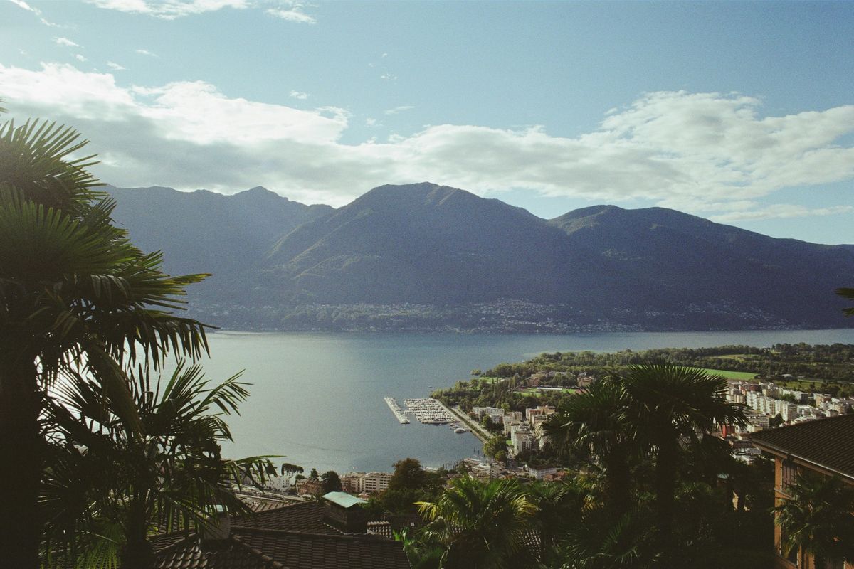 Palm trees and Lake Maggiore