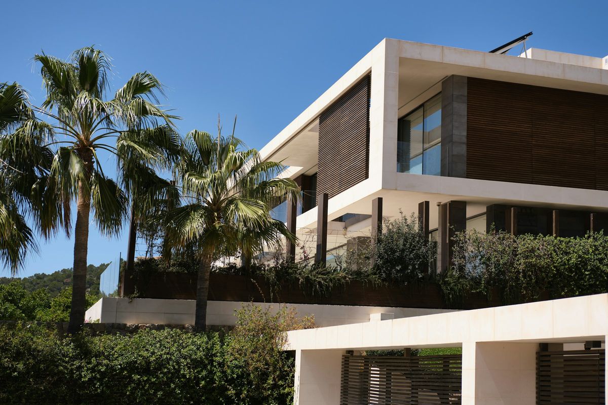 Modern villa with palm trees