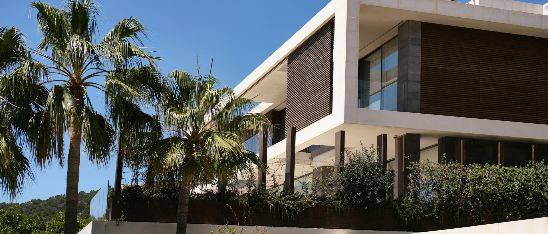 Villa moderna con palme