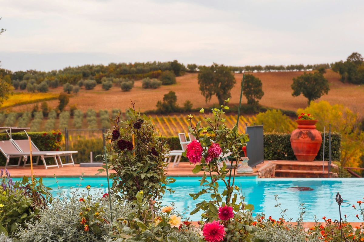 Pool with flowers and hills
