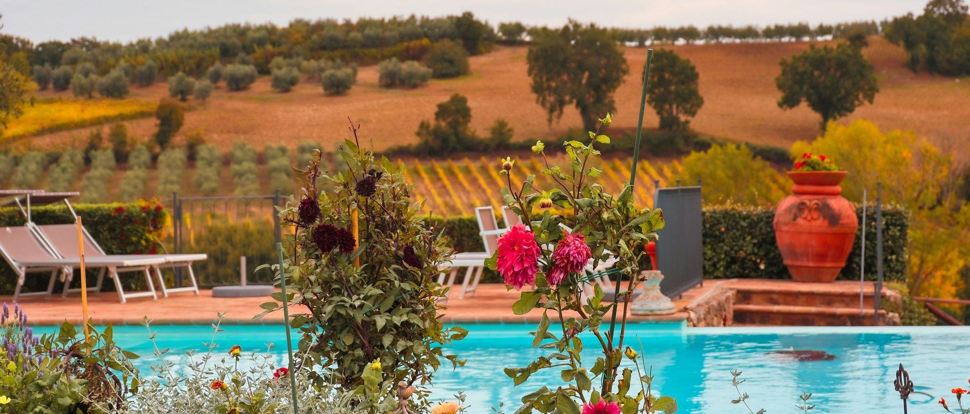 Pool mit Blumen und Hügeln