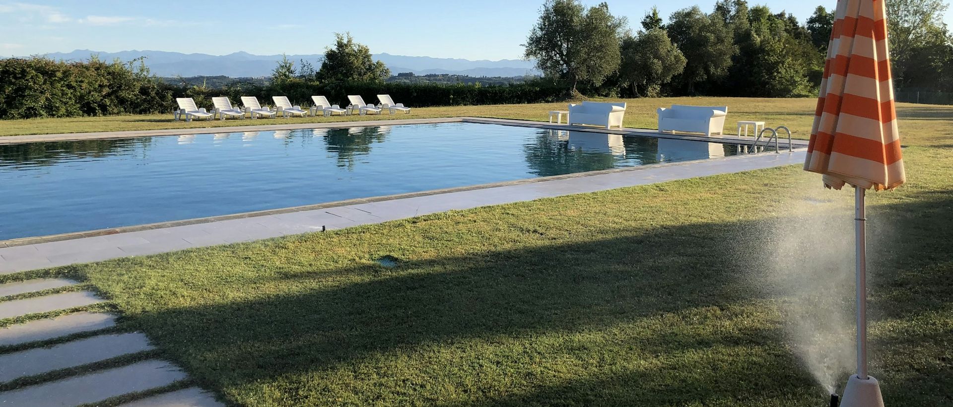 Pool in a well-kept lawn