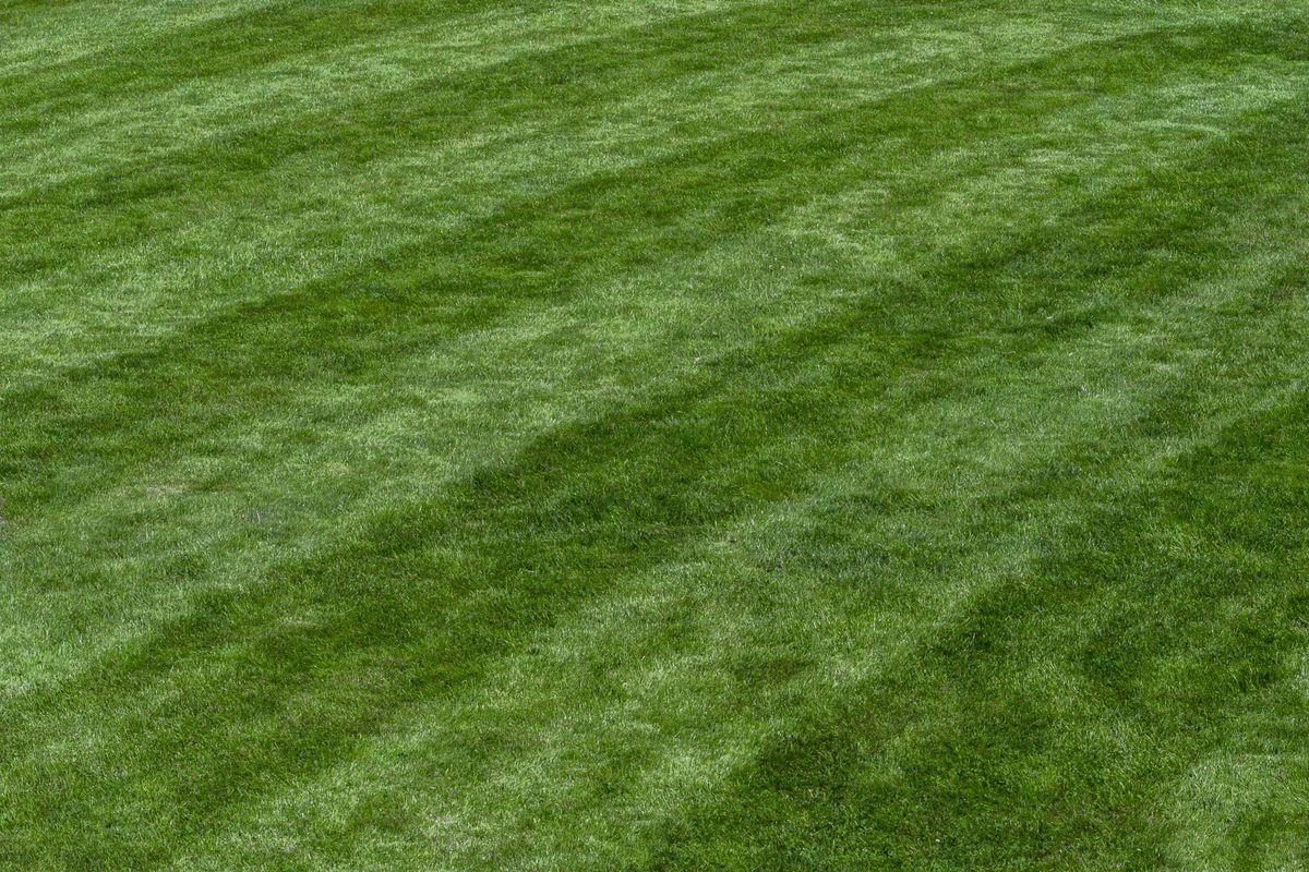 Freshly mown striped lawn