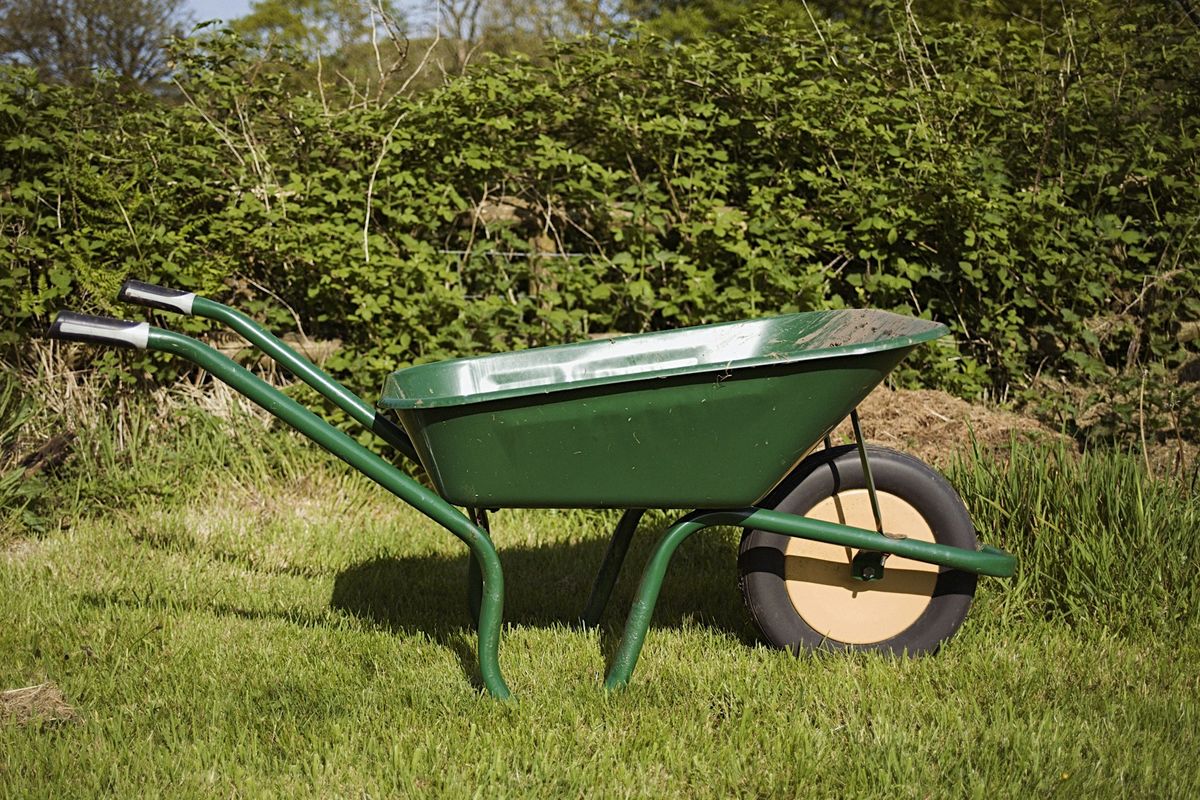 Wheelbarrow in the garden